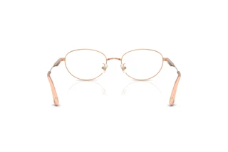 Achteraanzicht Jimmy Choo JC2009D (3008)