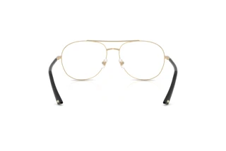 Achteraanzicht Jimmy Choo JC2021 (3006)