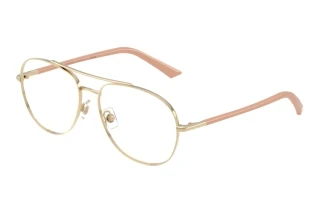Vooraanzicht Jimmy Choo JC2021 (3027)