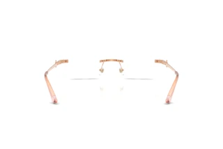 Achteraanzicht Jimmy Choo JC2025BD (3008)