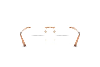 Achteraanzicht Jimmy Choo JC2025BD (3029)