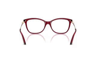 Achteraanzicht Jimmy Choo JC3007HB (5062)