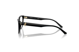 Zijaanzicht Jimmy Choo JC3008 (5000)