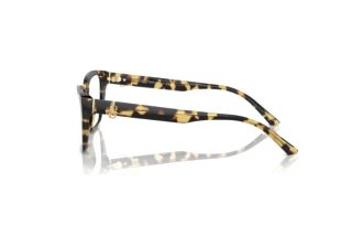 Zijaanzicht Jimmy Choo JC3008 (5004)