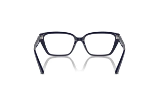 Achteraanzicht Jimmy Choo JC3008 (5016)