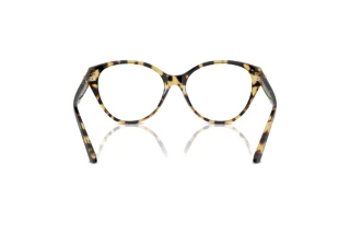 Achteraanzicht Jimmy Choo JC3009 (5004)