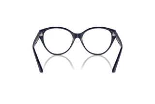 Achteraanzicht Jimmy Choo JC3009 (5016)