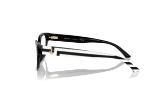 Zijaanzicht Jimmy Choo JC3010U (5017)