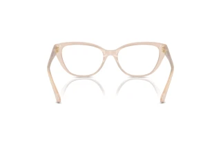 Achteraanzicht Jimmy Choo JC3011 (5025)