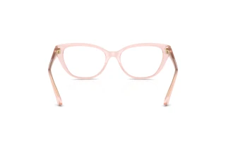 Achteraanzicht Jimmy Choo JC3011 (5034)