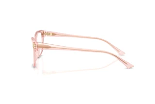 Zijaanzicht Jimmy Choo JC3012 (5034)