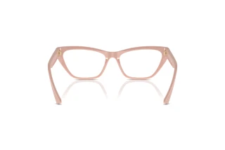 Achteraanzicht Jimmy Choo JC3014 (5014)