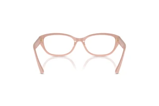Achteraanzicht Jimmy Choo JC3015 (5014)