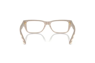Achteraanzicht Jimmy Choo JC3016 (5033)