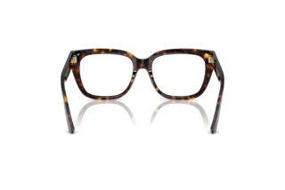 Achteraanzicht Jimmy Choo JC3019B (5002)