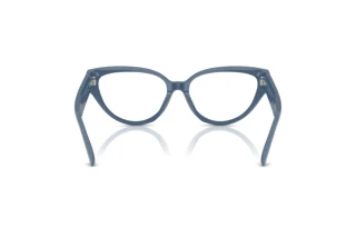 Achteraanzicht Jimmy Choo JC3023HU (5020)