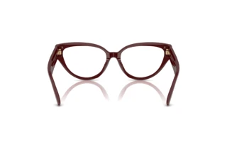Achteraanzicht Jimmy Choo JC3023HU (5057)