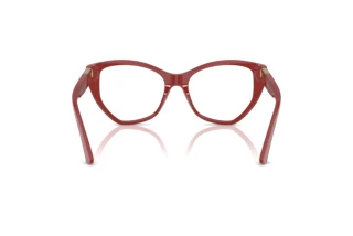 Achteraanzicht Jimmy Choo JC3026 (5013)