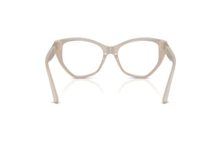 Achteraanzicht Jimmy Choo JC3026 (5033)
