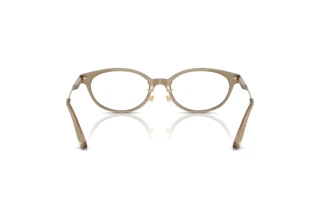 Achteraanzicht Jimmy Choo JC3029D (5051)