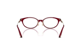 Achteraanzicht Jimmy Choo JC3029D (5062)