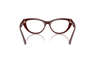 Achteraanzicht Jimmy Choo JC3030B (5057)
