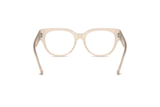 Achteraanzicht Jimmy Choo JC3035 (5025)