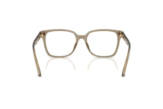 Achteraanzicht Jimmy Choo JC3038D (5051)