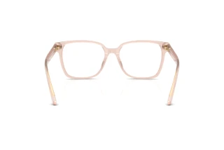 Achteraanzicht Jimmy Choo JC3038D (5052)