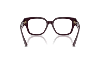 Achteraanzicht Jimmy Choo JC3042B (5075)