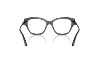 Achteraanzicht Jimmy Choo JC3043J (5078)