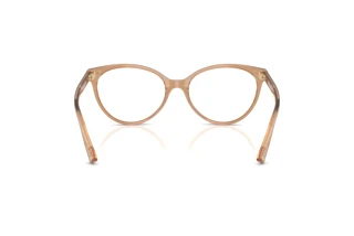 Achteraanzicht Jimmy Choo JC3047 (5076)