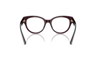 Achteraanzicht Jimmy Choo JC3050U (5086)