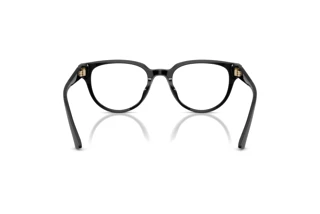 Achteraanzicht Jimmy Choo JC3051D (5000)
