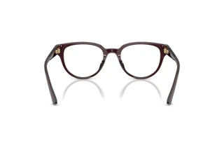 Achteraanzicht Jimmy Choo JC3051D (5086)