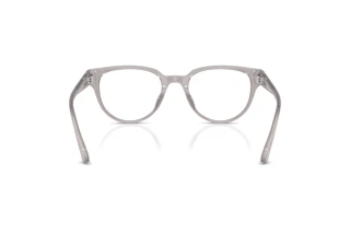Achteraanzicht Jimmy Choo JC3051D (5096)