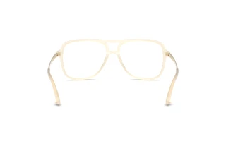 Achteraanzicht Jimmy Choo JC3052U (5089)