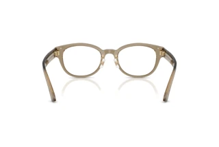Achteraanzicht Jimmy Choo JC3058D (5051)