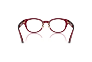 Achteraanzicht Jimmy Choo JC3058D (5062)