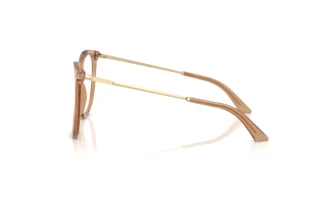 Zijaanzicht Jimmy Choo JC3060 (5076)