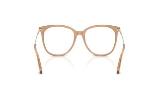 Achteraanzicht Jimmy Choo JC3060 (5076)