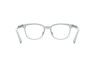 Achteraanzicht Lacoste L3669 (970)