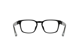 Achteraanzicht Lacoste L4010 (001)