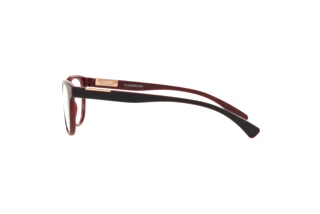 Zijaanzicht Oakley PLUNGELINE (OX8146 - 814604)