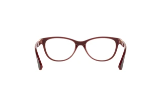 Achteraanzicht Oakley PLUNGELINE (OX8146 - 814604)