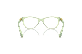 Achteraanzicht Oakley PLUNGELINE (OX8146 - 814610)