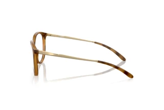 Zijaanzicht Oakley BMNG (OX8150 - 815002)