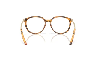 Achteraanzicht Oakley BMNG (OX8150 - 815007)