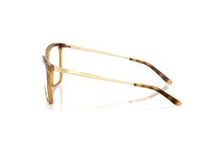 Zijaanzicht Oakley BMNG SQ (OX8189 - 818904)