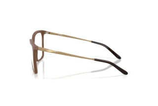 Zijaanzicht Oakley BMNG SQ (OX8189 - 818909)